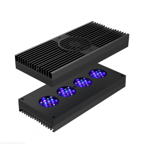 Hydra 52 HD LED Light Black