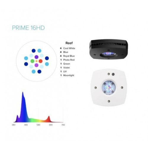 AI Prime 16 HD Black