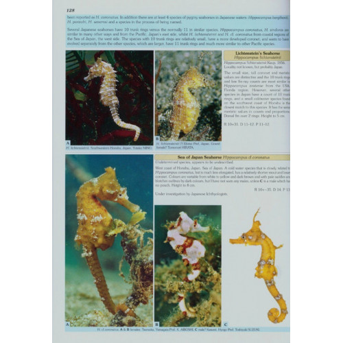 Seahorses and their Relatives