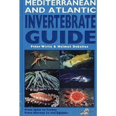 Mediterranean and Atlantic Invertebrate Guide