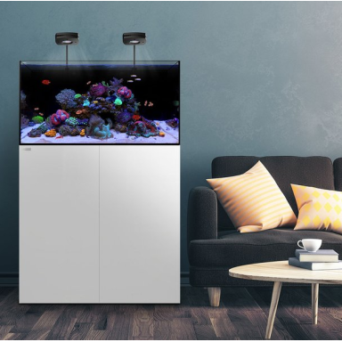 Waterbox All In One 65 4 White