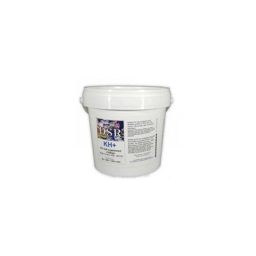 DSR KH 2100gr