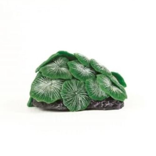Kunstkoraal discosoma groen