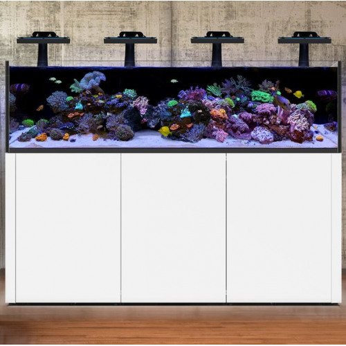 Waterbox Reef LX 270.6 White