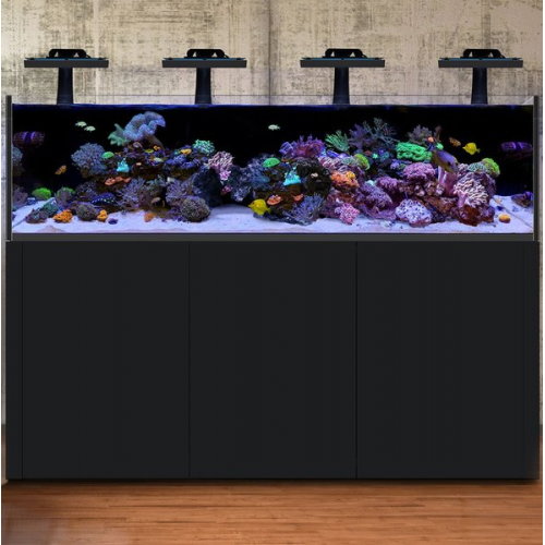 Waterbox Reef LX 270.6 Black