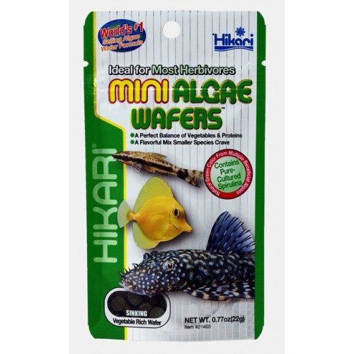 Hikari Mini Algae Wafers 22 gram