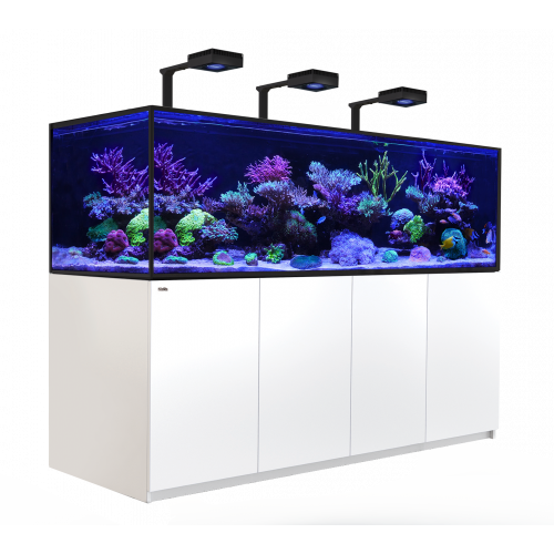 donor Ontembare Somatische cel Red Sea Reefer-S Deluxe 1000 Wit (incl 3 X RL 160) bestellen ? l  Coralandfishstore.nl