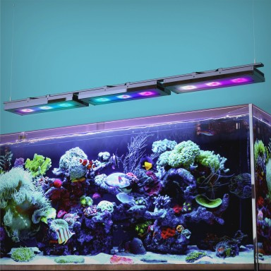 AI Blade Coral Glow 80 W- Rampe LED pour aquarium marin