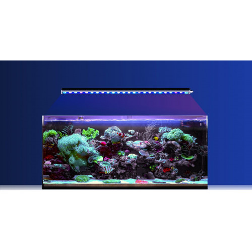 Reef Factory Reef Flare Bar L