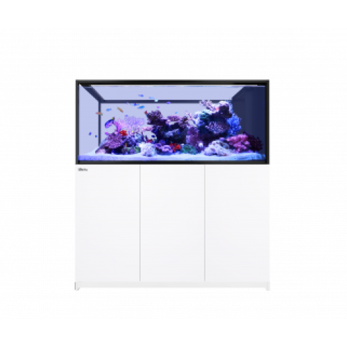 Red sea REEFER Peninsula G2...