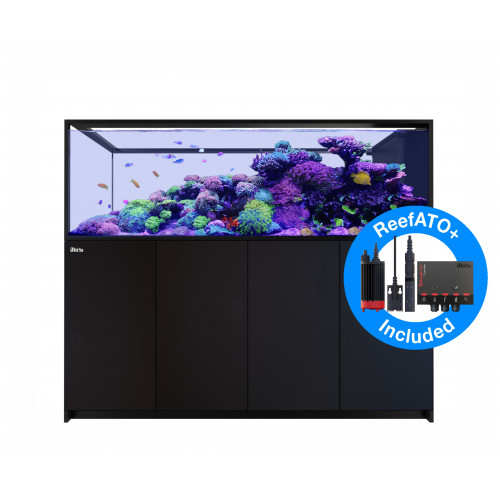 Red sea REEFER Peninsula G2 S-950