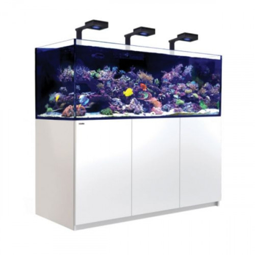 je bent Acquiesce Uitgaven Compleet aquarium kopen? Bestel online!