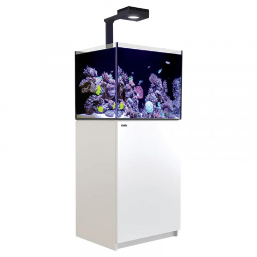 Red Sea REEFER MAX 170 G2+ White (Volledig Systeem)