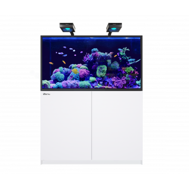 Red Sea REEFER™ MAX S-550  G2+ - White