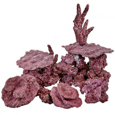 Real Reef Ready Mix - Mini Reef box 9kg