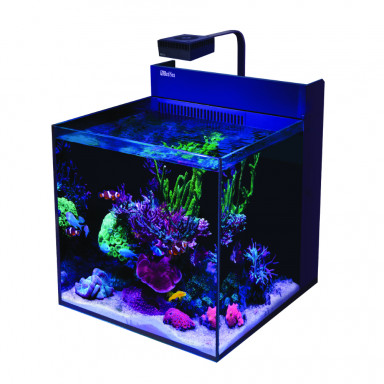 Blue marine Reef 60 aquarium + 24.90€ en bon d'achats coraux,poisso