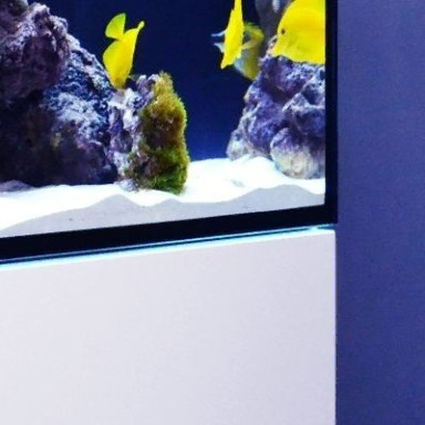 Red Sea Reefer 425 XL wit - 7290100775851